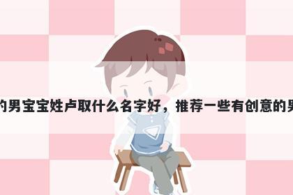 刚出生的男宝宝姓卢取什么名字好，推荐一些有创意的男孩名字