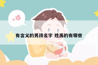 有含义的男孩名字 姓禹的有哪些