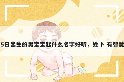 2026年-02月-15日出生的男宝宝起什么名字好听，姓卜 有智慧才气的名字推荐