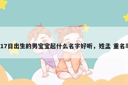 2026年-02月-17日出生的男宝宝起什么名字好听,姓孟 重名率低的名字推荐