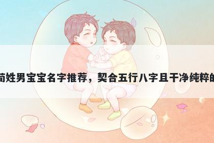 荀姓男宝宝名字推荐，契合五行八字且干净纯粹的