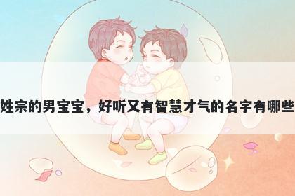 姓宗的男宝宝，好听又有智慧才气的名字有哪些