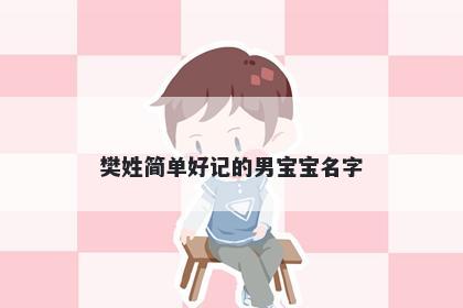 樊姓简单好记的男宝宝名字