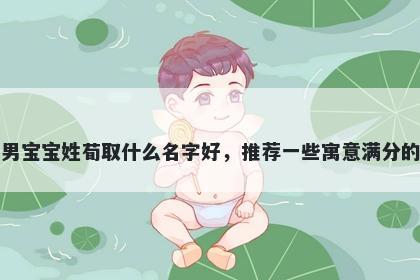 刚出生的男宝宝姓荀取什么名字好，推荐一些寓意满分的男孩名字