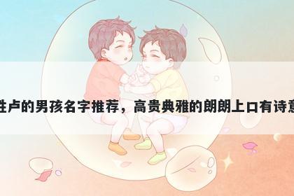 姓卢的男孩名字推荐，高贵典雅的朗朗上口有诗意