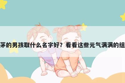 姓茅的男孩取什么名字好?看看这些元气满满的组合