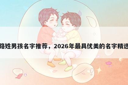路姓男孩名字推荐,2026年最具优美的名字精选