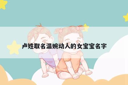 卢姓取名温婉动人的女宝宝名字