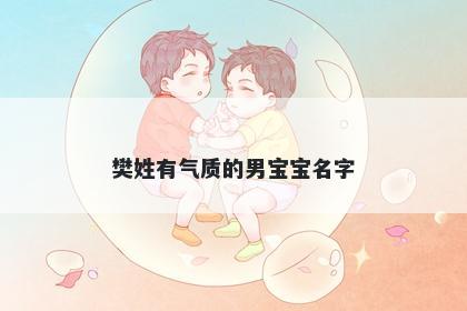 樊姓有气质的男宝宝名字