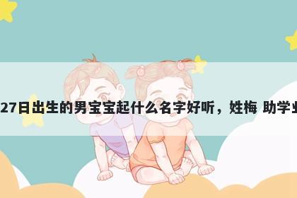 2026年-02月-27日出生的男宝宝起什么名字好听，姓梅 助学业运的名字推荐