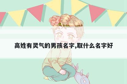 高姓有灵气的男孩名字,取什么名字好