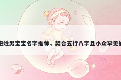 鲍姓男宝宝名字推荐，契合五行八字且小众罕见的