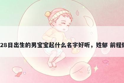 2026年-02月-28日出生的男宝宝起什么名字好听,姓郁 前程似锦的名字推荐