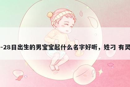 2026年-02月-28日出生的男宝宝起什么名字好听,姓刁 有灵气的名字推荐