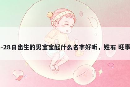 2026年-02月-28日出生的男宝宝起什么名字好听,姓石 旺事业的名字推荐