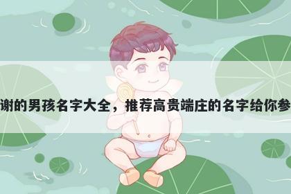 姓谢的男孩名字大全，推荐高贵端庄的名字给你参考