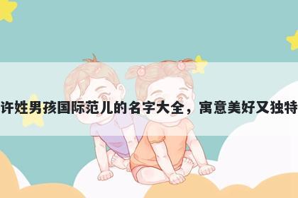 许姓男孩国际范儿的名字大全，寓意美好又独特