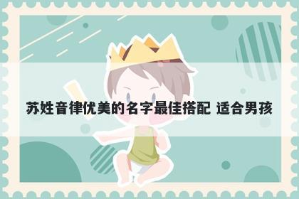 苏姓音律优美的名字最佳搭配 适合男孩