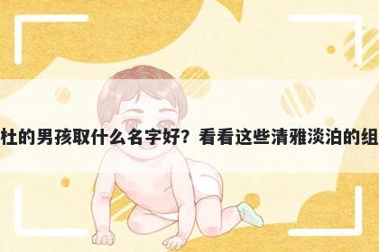 姓杜的男孩取什么名字好?看看这些清雅淡泊的组合