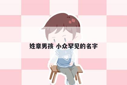 姓章男孩 小众罕见的名字