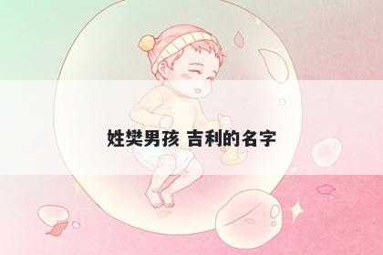 姓樊男孩 吉利的名字