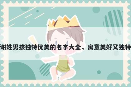 谢姓男孩独特优美的名字大全，寓意美好又独特