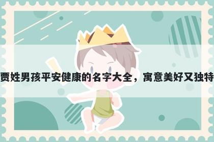 贾姓男孩平安健康的名字大全,寓意美好又独特