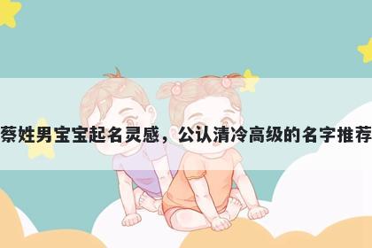 蔡姓男宝宝起名灵感,公认清冷高级的名字推荐