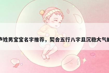 卢姓男宝宝名字推荐,契合五行八字且沉稳大气的