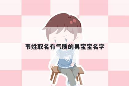 韦姓取名有气质的男宝宝名字