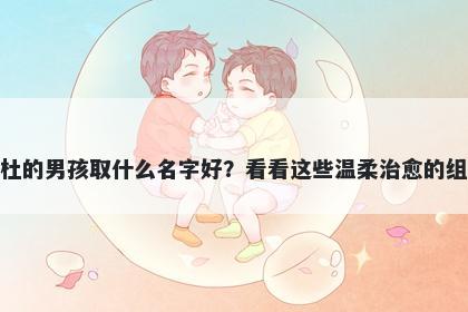 姓杜的男孩取什么名字好？看看这些温柔治愈的组合