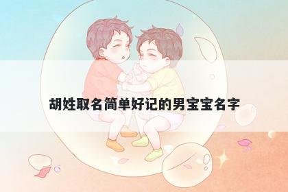 胡姓取名简单好记的男宝宝名字