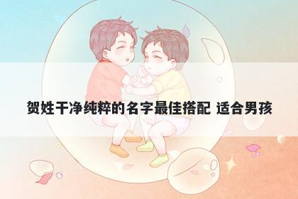 贺姓干净纯粹的名字最佳搭配 适合男孩