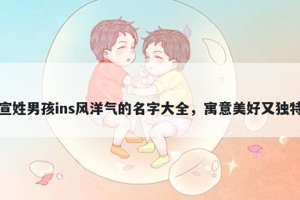 宣姓男孩ins风洋气的名字大全,寓意美好又独特