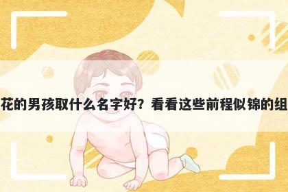 姓花的男孩取什么名字好?看看这些前程似锦的组合