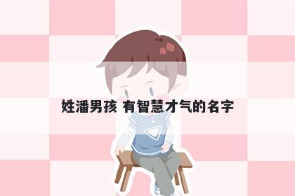 姓潘男孩 有智慧才气的名字