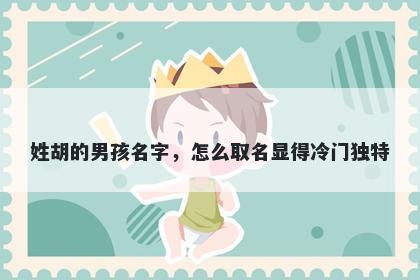 姓胡的男孩名字，怎么取名显得冷门独特