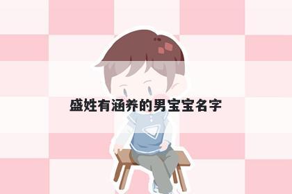 盛姓有涵养的男宝宝名字
