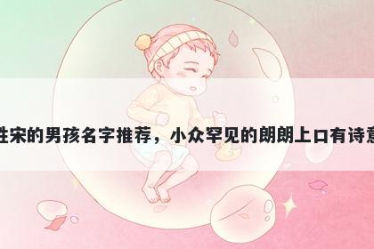 姓宋的男孩名字推荐，小众罕见的朗朗上口有诗意