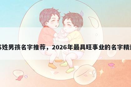 苏姓男孩名字推荐，2026年最具旺事业的名字精选