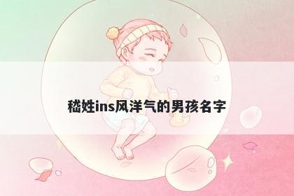 嵇姓ins风洋气的男孩名字