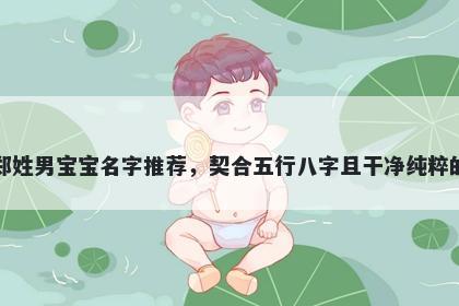 郑姓男宝宝名字推荐，契合五行八字且干净纯粹的