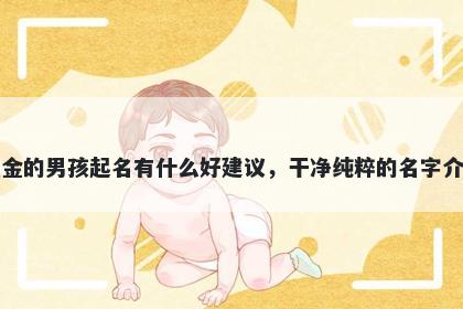 姓金的男孩起名有什么好建议，干净纯粹的名字介绍