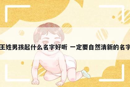 王姓男孩起什么名字好听 一定要自然清新的名字