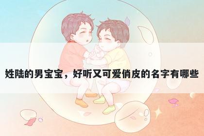 姓陆的男宝宝，好听又可爱俏皮的名字有哪些