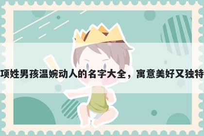 项姓男孩温婉动人的名字大全，寓意美好又独特