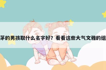 姓茅的男孩取什么名字好?看看这些大气文雅的组合