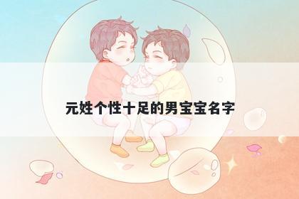 元姓个性十足的男宝宝名字