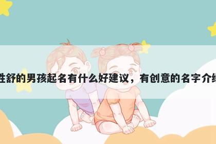 姓舒的男孩起名有什么好建议，有创意的名字介绍