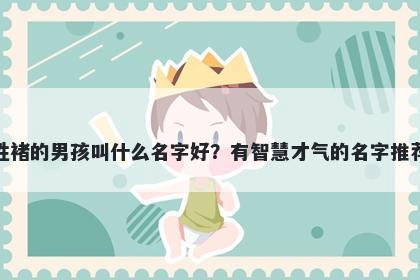 姓褚的男孩叫什么名字好？有智慧才气的名字推荐